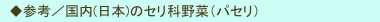 　◆参考／国内(日本)のセリ科野菜（パセリ）