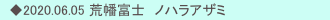 　◆2020.06.05 荒幡富士　ノハラアザミ