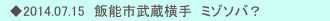 　◆2014.07.15　飯能市武蔵横手　ミゾソバ？