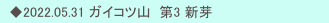 　◆2022.05.31 ガイコツ山  第3 新芽