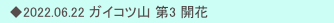 　◆2022.06.22 ガイコツ山 第3 開花　　