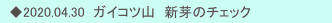 　◆2020.04.30  ガイコツ山　新芽のチェック　