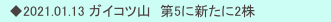 　◆2021.01.13 ガイコツ山　第5に新たに2株