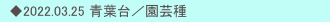 　◆2022.03.25 青葉台／園芸種