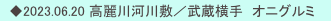 　◆2023.06.20 高麗川河川敷／武蔵横手　オニグルミ