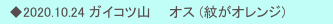 　◆2020.10.24 ガイコツ山　　オス (紋がオレンジ)