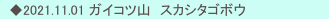 　◆2021.11.01 ガイコツ山　スカシタゴボウ 