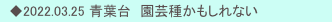　◆2022.03.25 青葉台　園芸種かもしれない