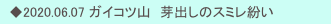 　◆2020.06.05  荒幡富士