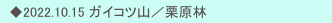 　◆2022.10.15 ガイコツ山／栗原林
