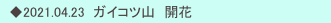 　◆2021.04.23  ガイコツ山　開花