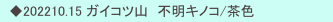 　◆202210.15 ガイコツ山　不明キノコ/茶色　