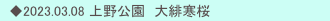 　◆2022.04.20 芦ヶ久保　　白いサクラ？
