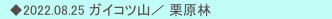 　◆2022.08.25 ガイコツ山／ 栗原林