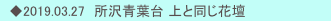 　◆2019.03.27　所沢青葉台 上と同じ花壇
