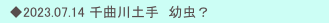 　◆2023.07.14 千曲川土手　幼虫？
