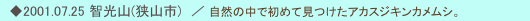 　◆2001.07.25 智光山(狭山市)　／ 自然の中で初めて見つけたアカスジキンカメムシ。