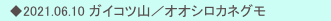 　◆2021.06.10 ガイコツ山／オオシロカネグモ