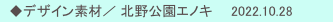 　◆デザイン素材／ 北野公園エノキ　　2022.10.28　　