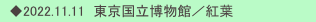 　◆2022.11.11  東京国立博物館／紅葉